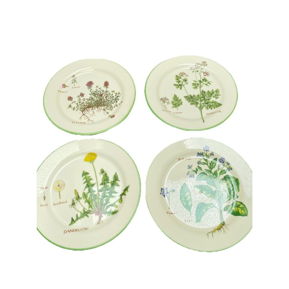 WILLIAMS SONOMA Set 4 Culinary Herbs Lunch Plate BORAGE Chervil THYME Dandelion
